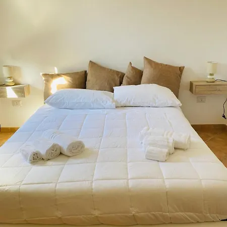 Niki's House Garden *